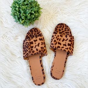 Leopard slides
